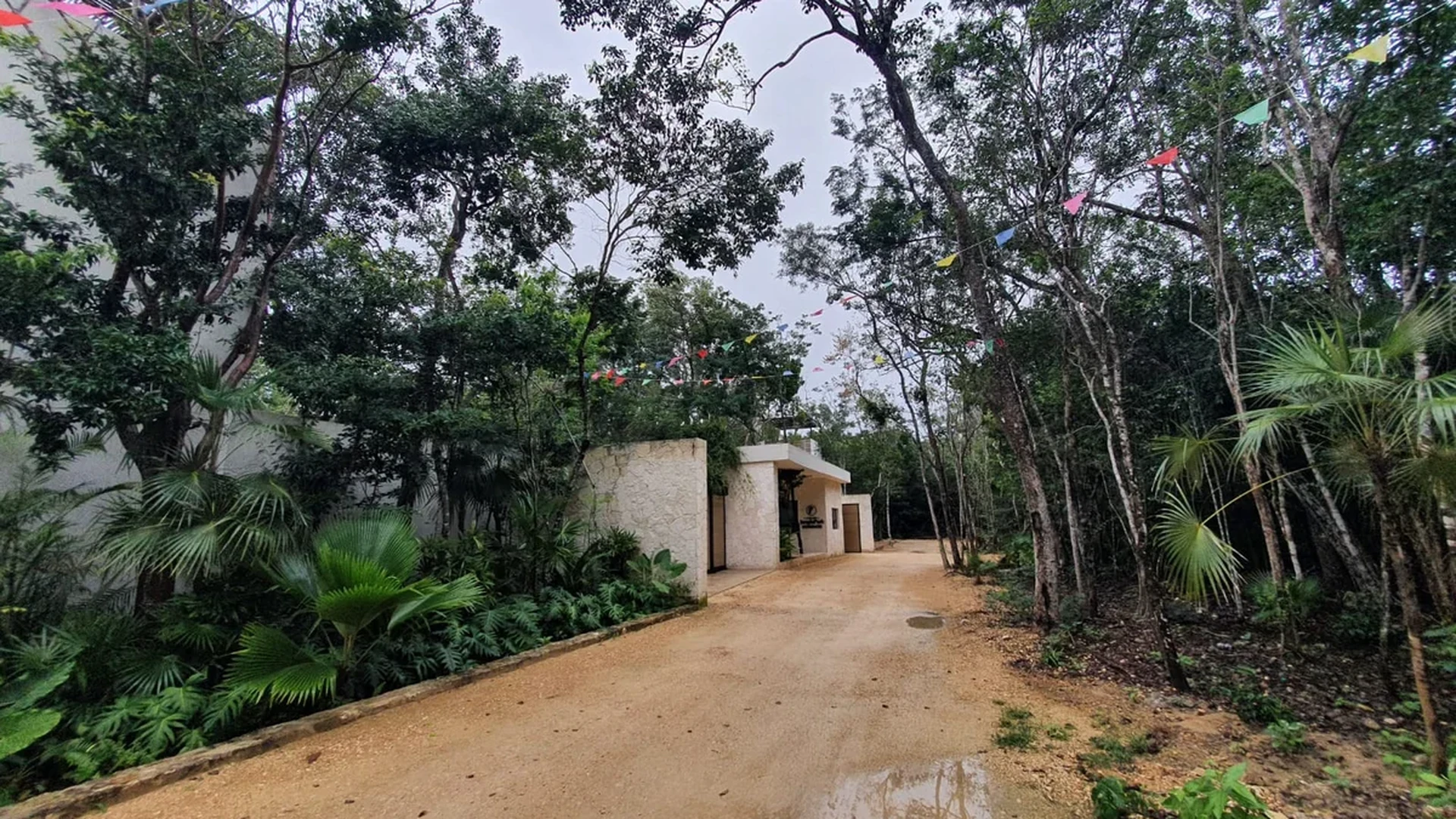 View of Jungle Setting at Jungle Park Residences, showcasing Natural Environment, Lush Greenery.