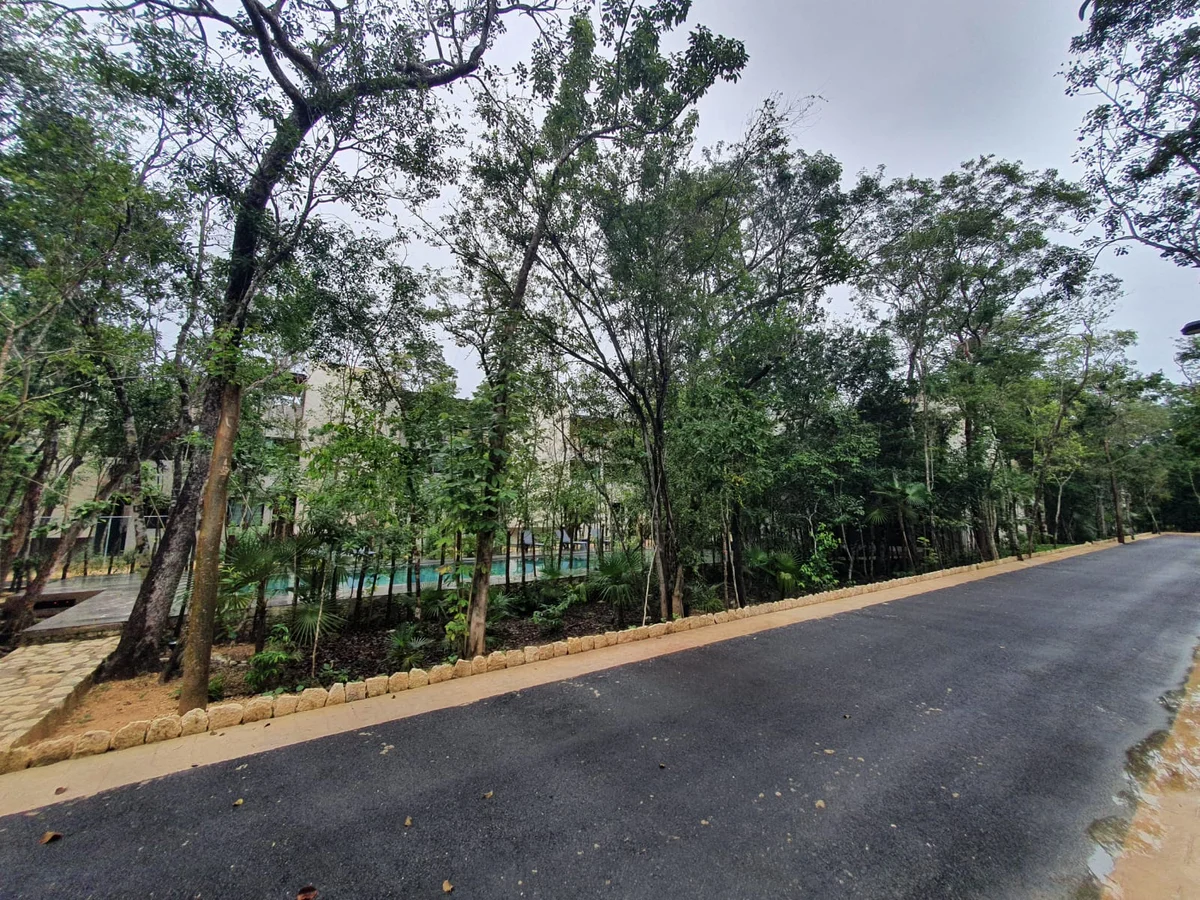 Image of Swimming Pool at Jungle Park Residences, featuring Lush Landscaping, Tropical Environment.