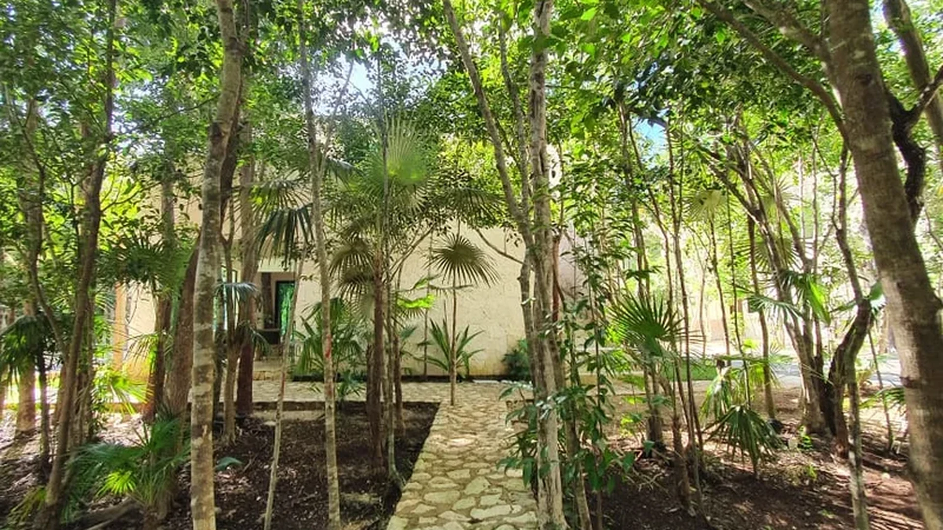 Image of Garden at Jungle Park Residences, featuring Lush Greenery, Stone Pathway.