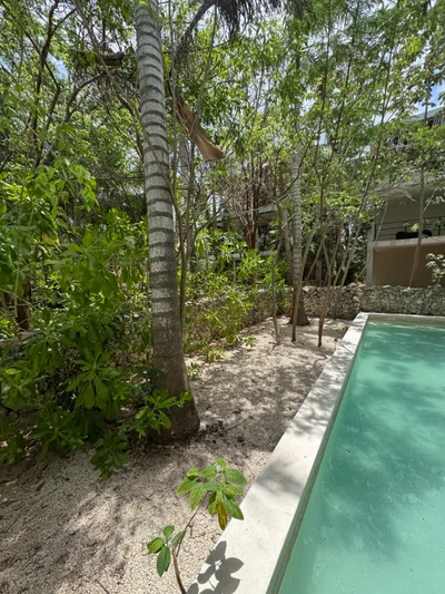 Image of Swimming Pool at Limas Tulum, featuring Swimming Pool, Lush Greenery.