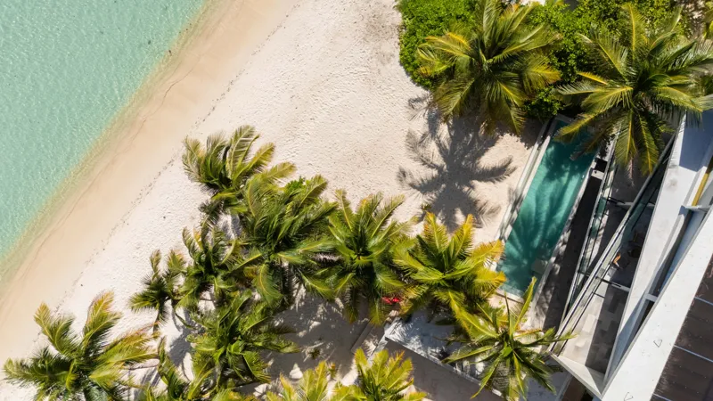 High-angle aerial shot of the NEEA development, a contemporary multi-story building with a rectangular rooftop pool, positioned directly on a white sand beach. The clear turquoise waters of Bahía Soliman stretch out, and numerous vibrant green pal...