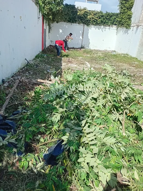 A man in a dark shirt and blue jeans crouches near an overgrown wall with utility meters, actively clearing weeds and debris from the Centurmex 25 development site, with a pickaxe resting on the ground nearby, indicating the start of site preparat...