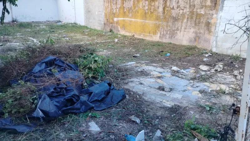 A man in a dark shirt and blue jeans crouches near an overgrown wall with utility meters, actively clearing weeds and debris from the Centurmex 25 development site, with a pickaxe resting on the ground nearby, indicating the start of site preparat...