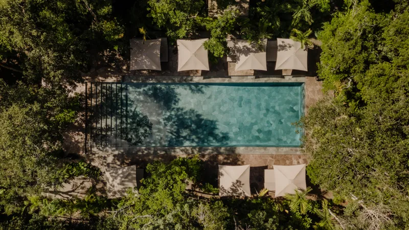 A beautifully designed outdoor lounge area at La Reserva Tulum, featuring dark walls, a tree growing through the floor, stylish dark furniture, a round coffee table, and woven pendant lights, all set against a backdrop of lush tropical foliage wit...