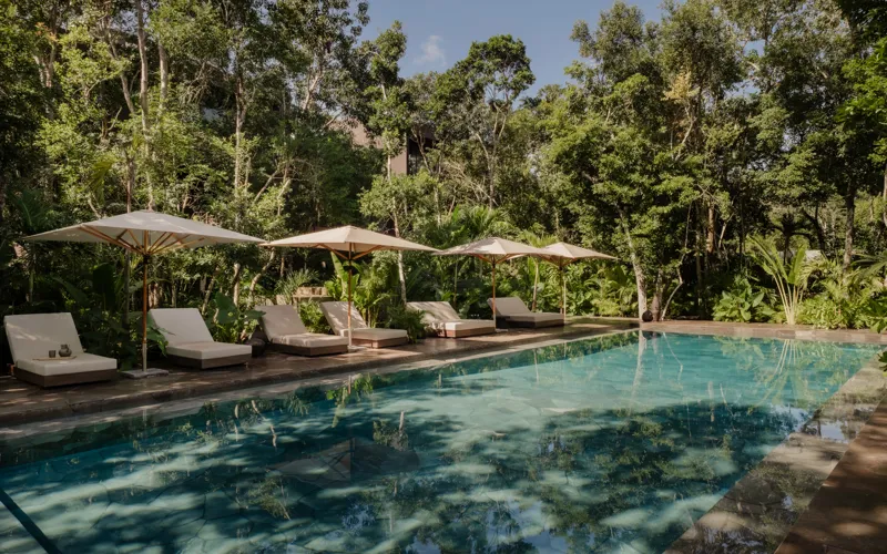 A beautifully designed outdoor lounge area at La Reserva Tulum, featuring dark walls, a tree growing through the floor, stylish dark furniture, a round coffee table, and woven pendant lights, all set against a backdrop of lush tropical foliage wit...