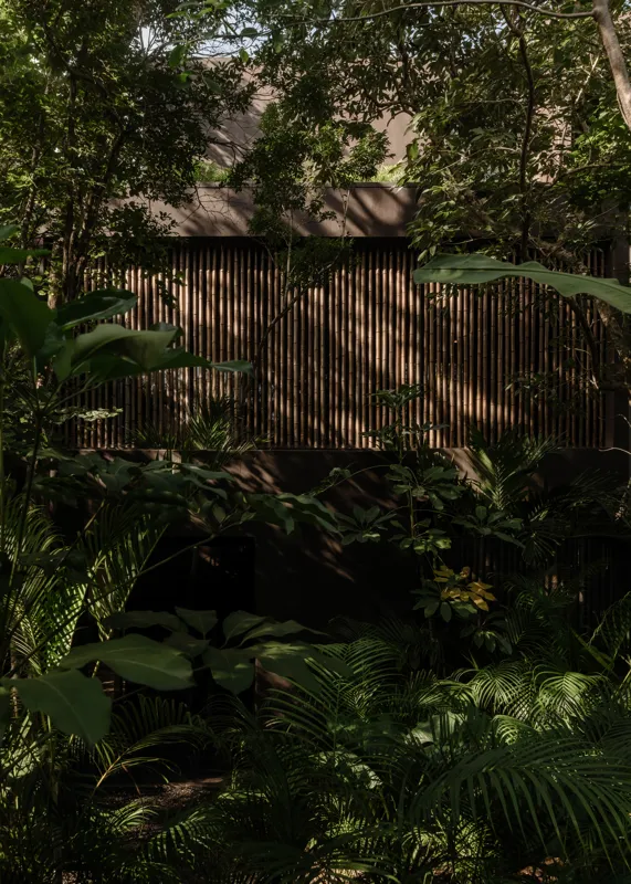 A beautifully designed outdoor lounge area at La Reserva Tulum, featuring dark walls, a tree growing through the floor, stylish dark furniture, a round coffee table, and woven pendant lights, all set against a backdrop of lush tropical foliage wit...