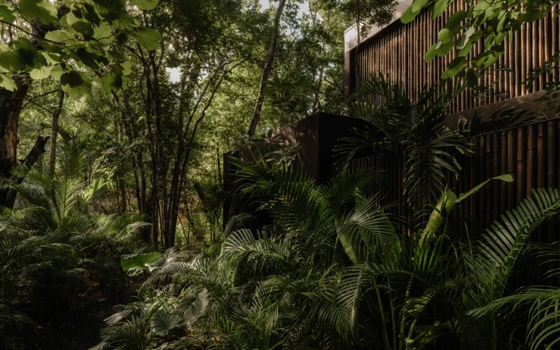A beautifully designed outdoor lounge area at La Reserva Tulum, featuring dark walls, a tree growing through the floor, stylish dark furniture, a round coffee table, and woven pendant lights, all set against a backdrop of lush tropical foliage wit...