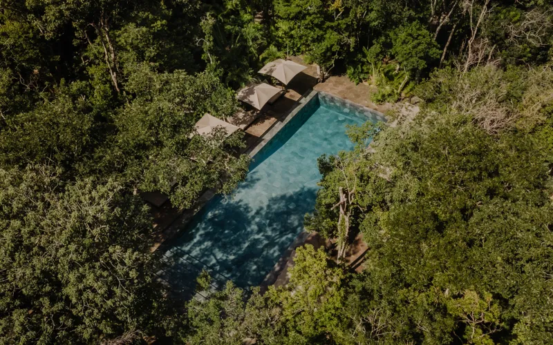 A beautifully designed outdoor lounge area at La Reserva Tulum, featuring dark walls, a tree growing through the floor, stylish dark furniture, a round coffee table, and woven pendant lights, all set against a backdrop of lush tropical foliage wit...