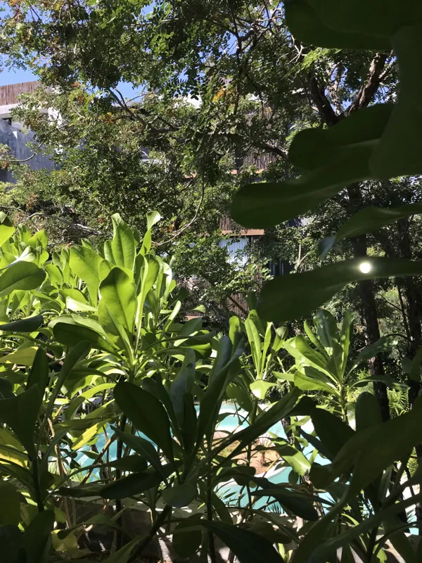 A modern kitchen in a Humana model unit featuring dark cabinetry, black countertops, a stainless steel refrigerator, and dark tiled floors, with large windows offering views of lush greenery.