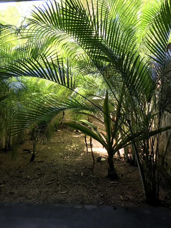 A series of high-resolution photographs displaying the completed interiors and private outdoor spaces of Humana's residential units. Images include a contemporary kitchen with dark grey and wood cabinets, a large island, and stainless steel applia...