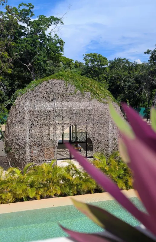 A beautifully designed hallway in Paam Cheel featuring a central potted tree, natural wood ceiling accents, and light-colored walls, leading to an open-air courtyard with an arched stone entrance.
