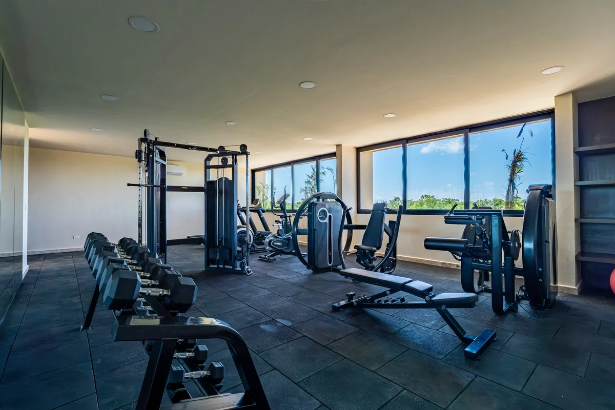 Image of Gym at Peregrina, featuring Modern Gym, Fitness Center.