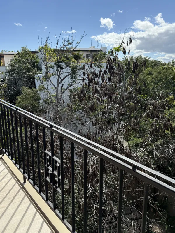 A close-up shot of a modern, brushed brass gooseneck faucet with a single lever handle, set against a dark, speckled countertop and a dark grey backsplash, indicating high-quality interior finishes in an Arthouse Signature apartment.
