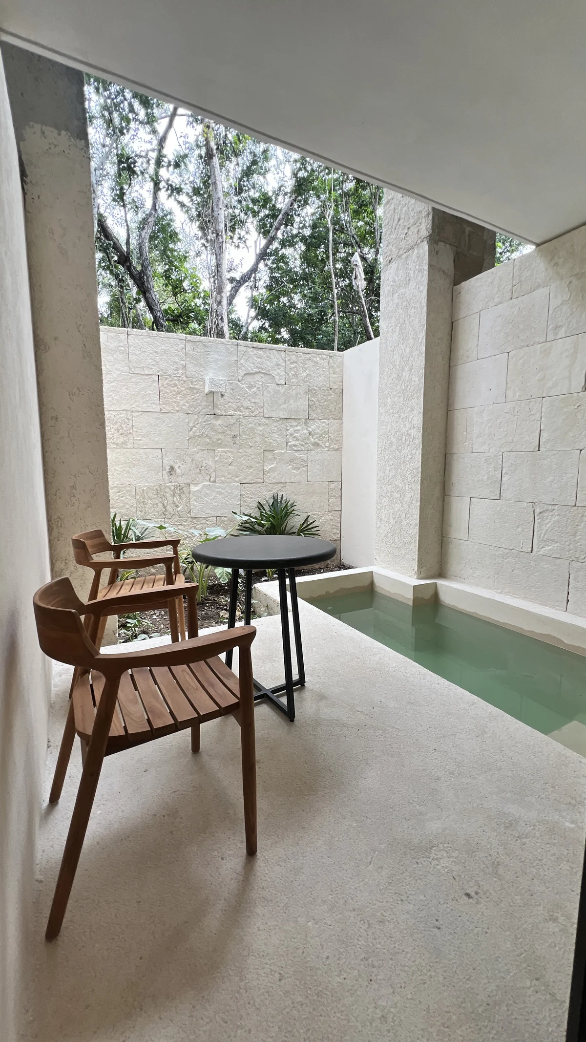 Image of Swimming Pool at Constelada, featuring Private Patio, Plunge Pool.