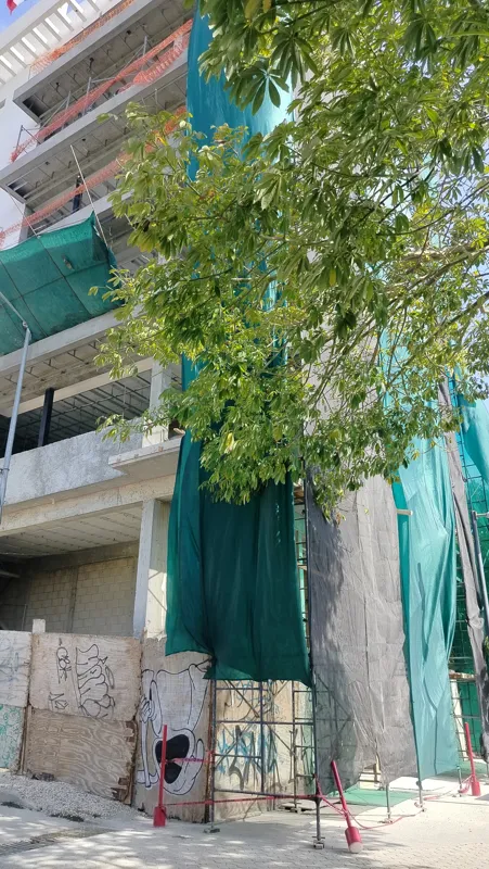 A low-angle view of the Elysium at Fifth Avenue construction site in Playa del Carmen, showing a multi-story building with its concrete structure largely complete and partially covered in white exterior plaster. A tall palm tree stands in front, a...