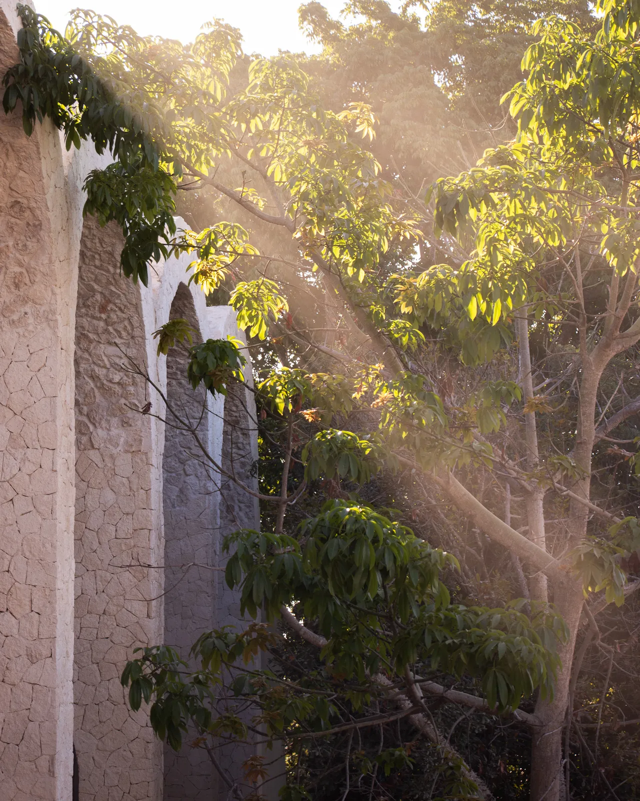 Sunlit stone wall with arches and trees