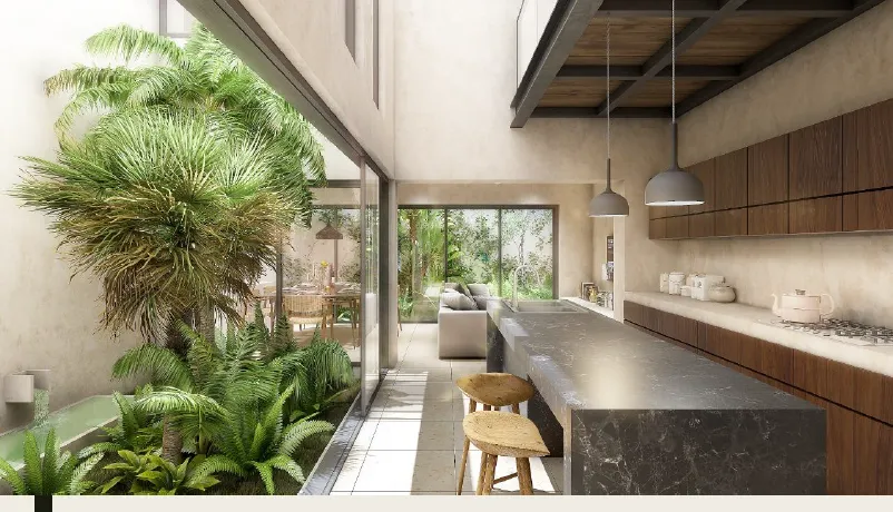 Modern kitchen and living area with indoor garden
