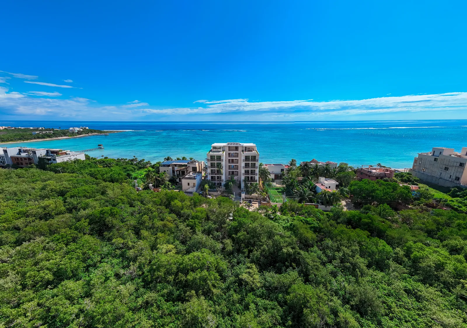 Aerial view of coastal buildings and lush greenery