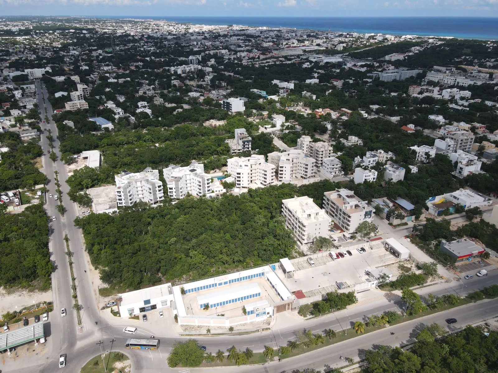 Aerial view of a coastal city with buildings and greenery.