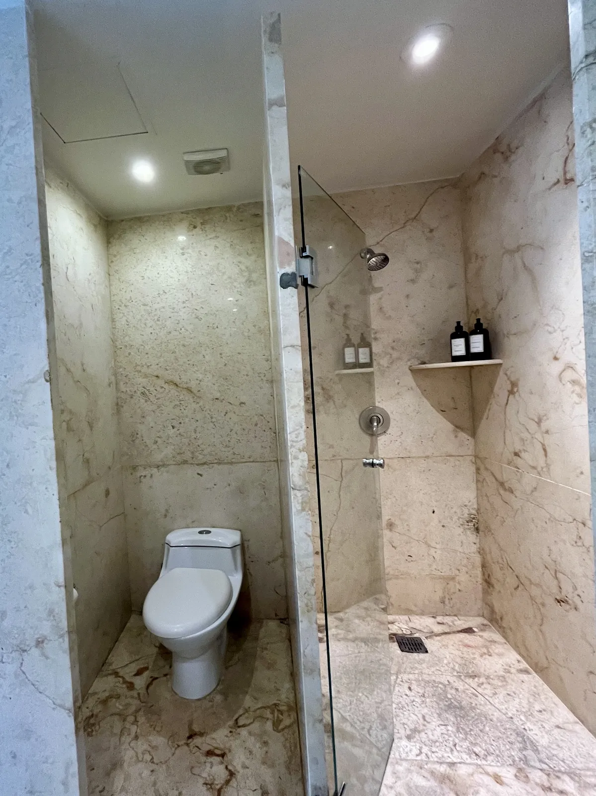 Bathroom with marble walls and glass shower enclosure