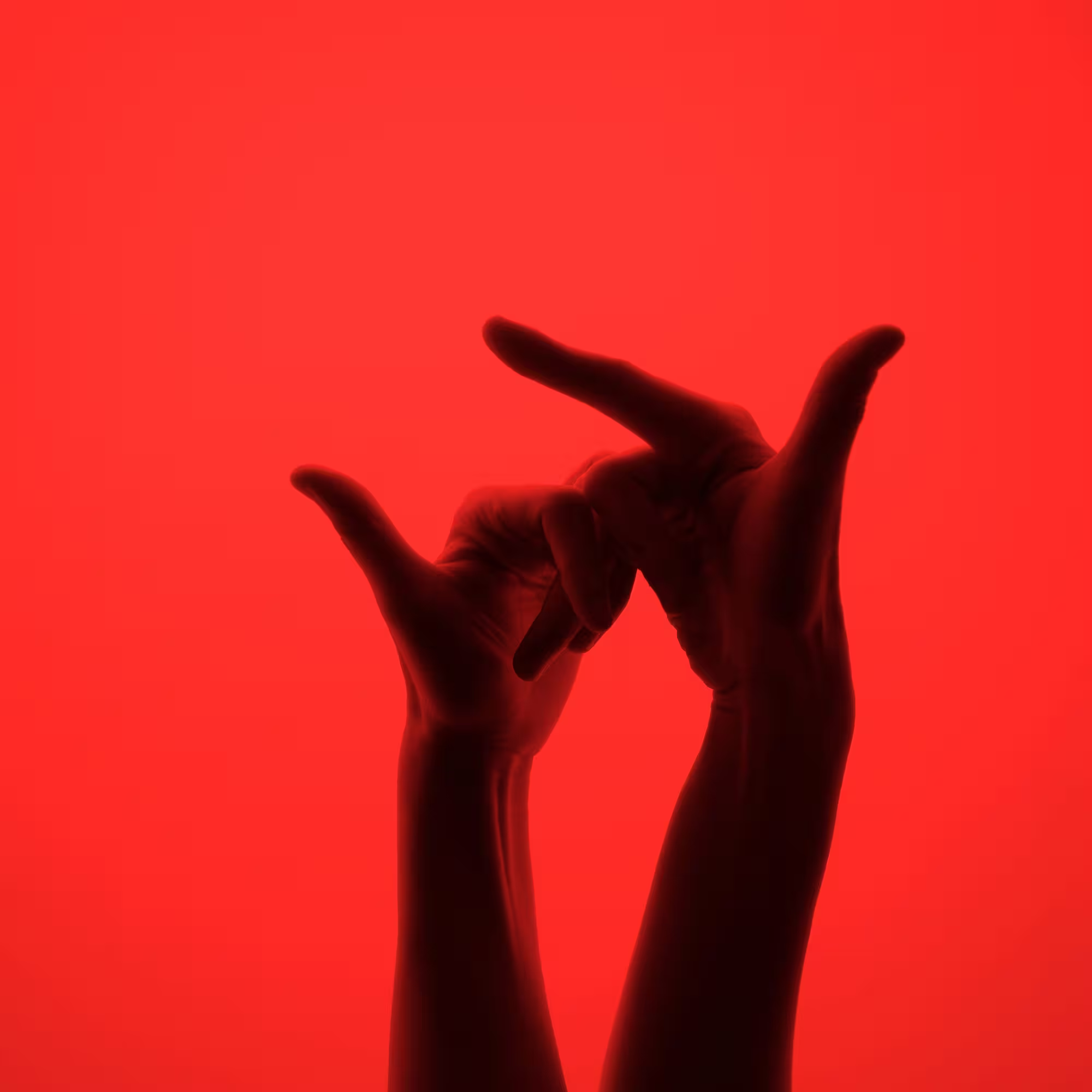 Portfolio Image Thumbnail