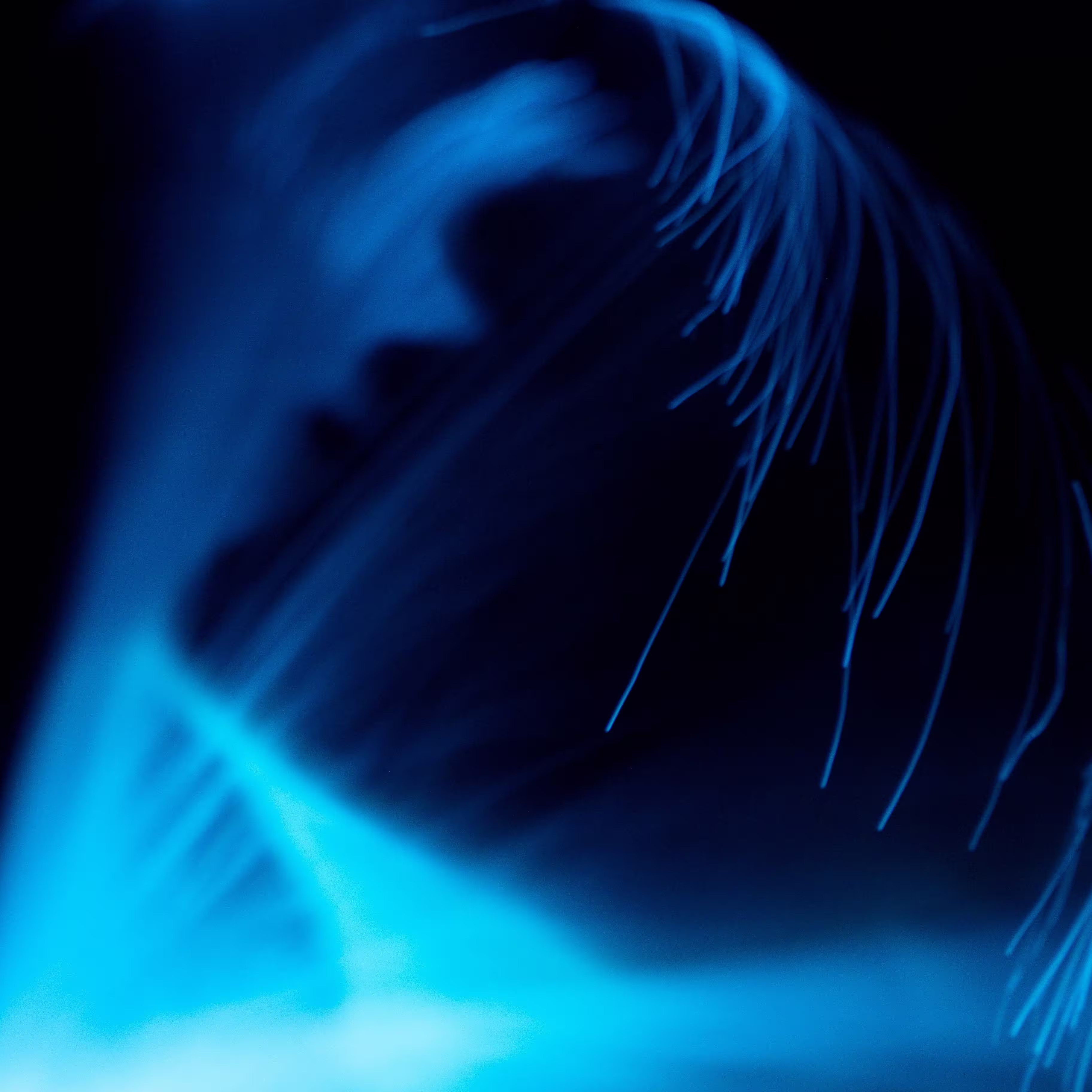 Portfolio Image Thumbnail