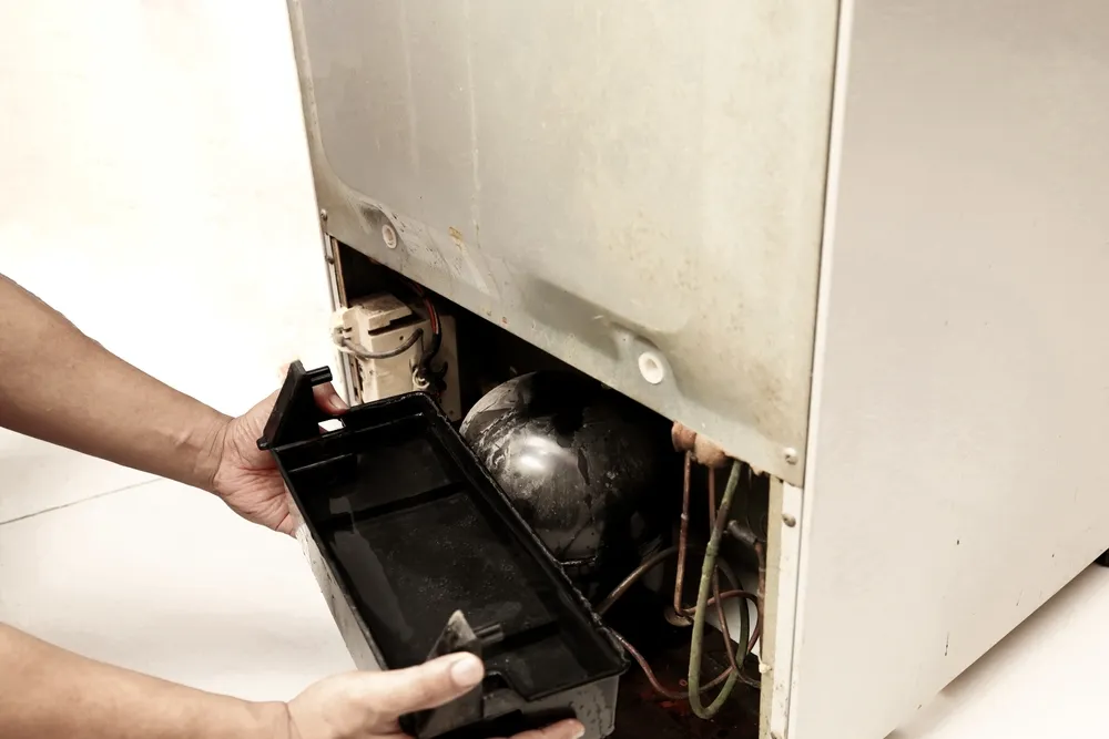 A person's hands pulling a part out of a fridge