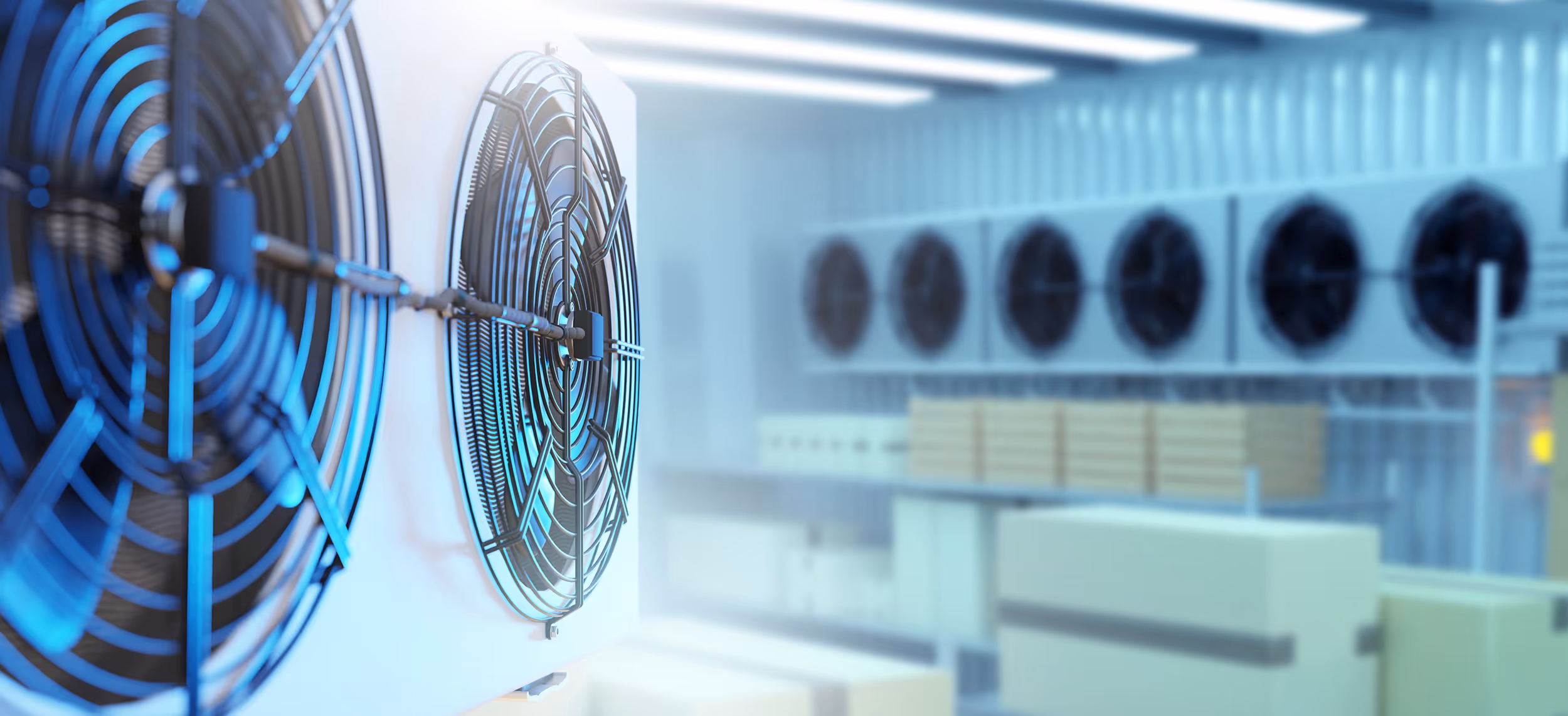 Inside a commercial coolroom 