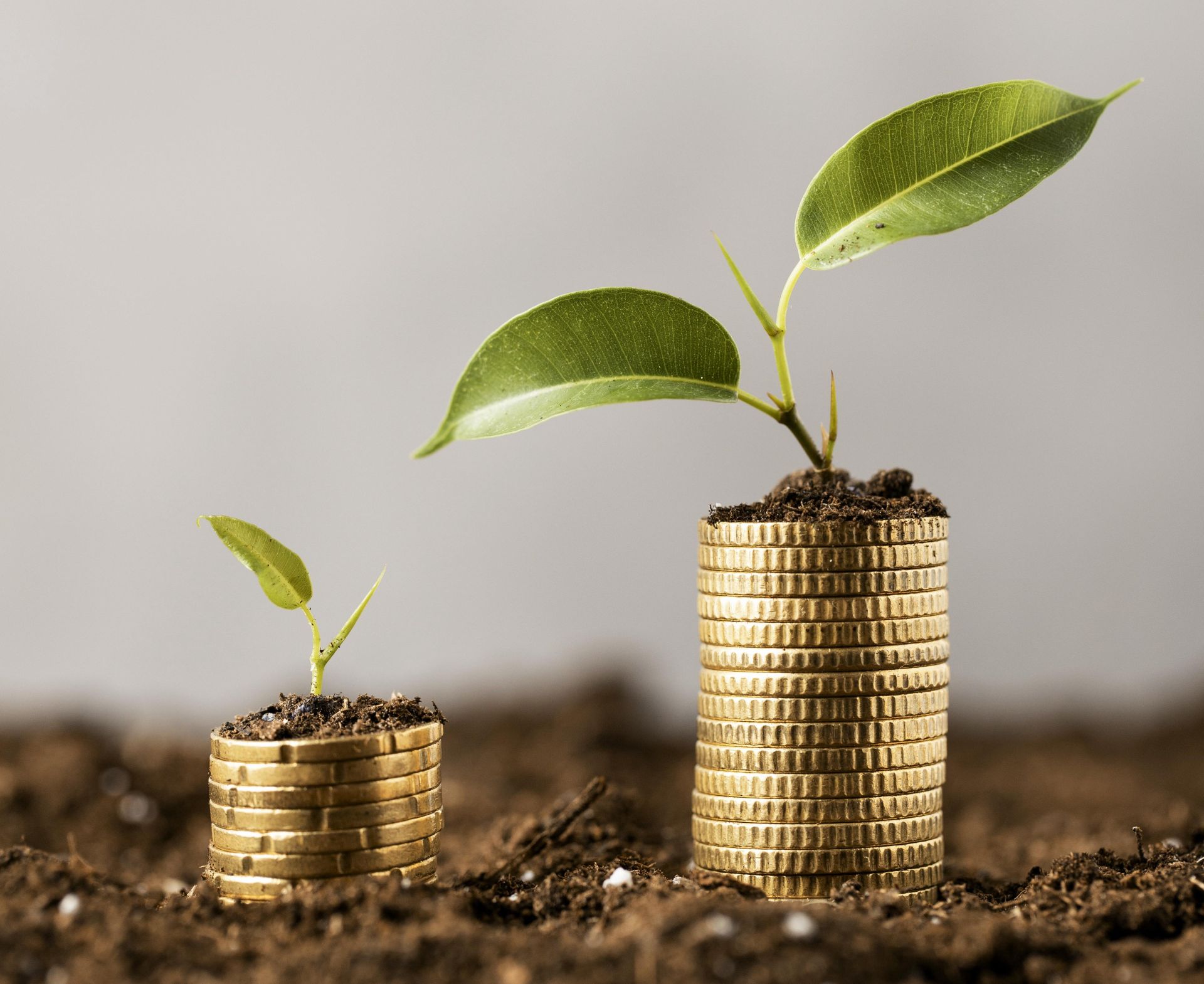 Plantas creciendo sobre pilas de monedas simbolizando crecimiento de inversión