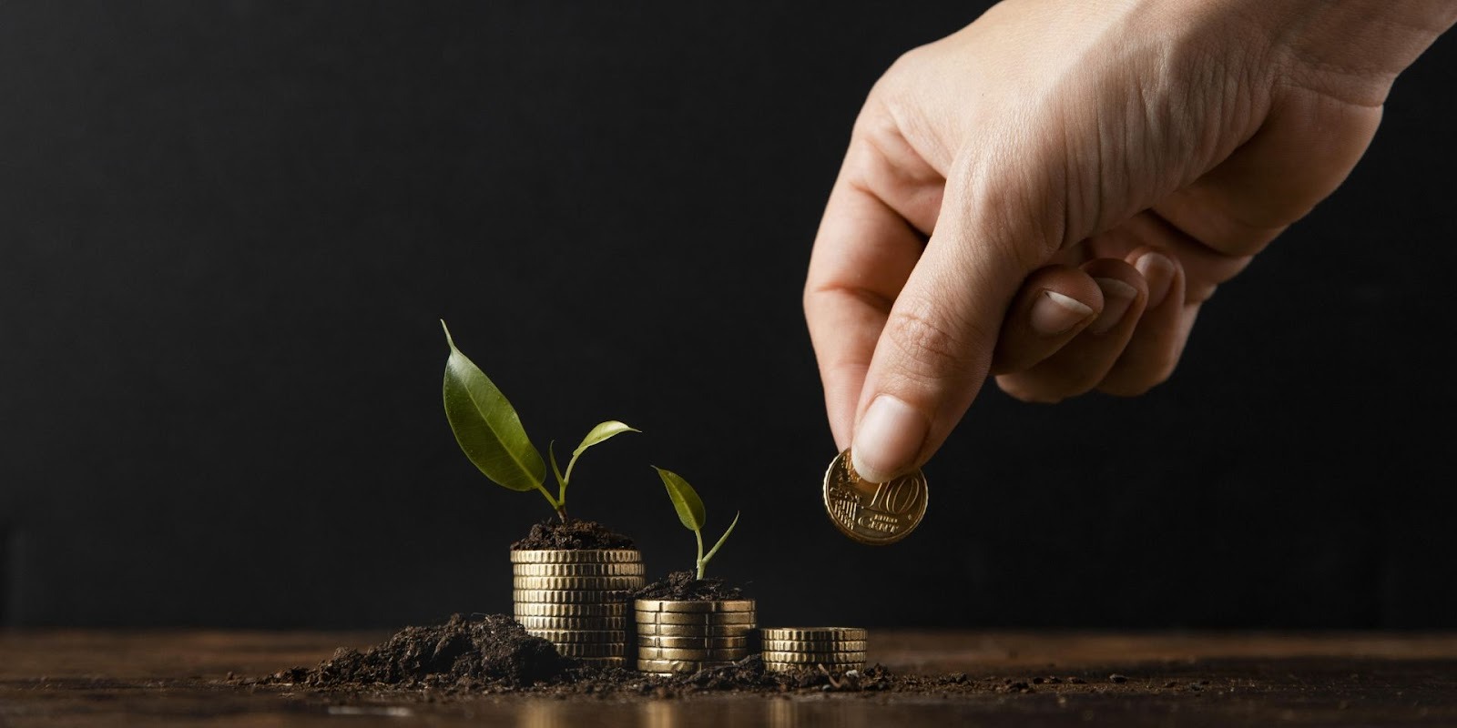 Mano colocando moneda sobre pilas de monedas con planta creciendo representando inversión de capital