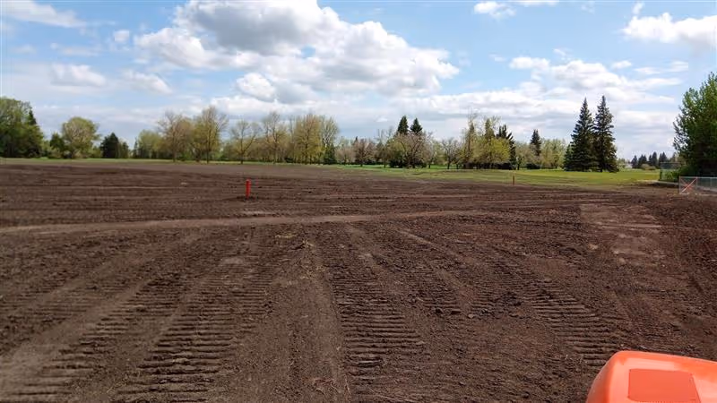 Freshly plowed field with visible tractor tire tracks and green trees under a partly cloudy sky.