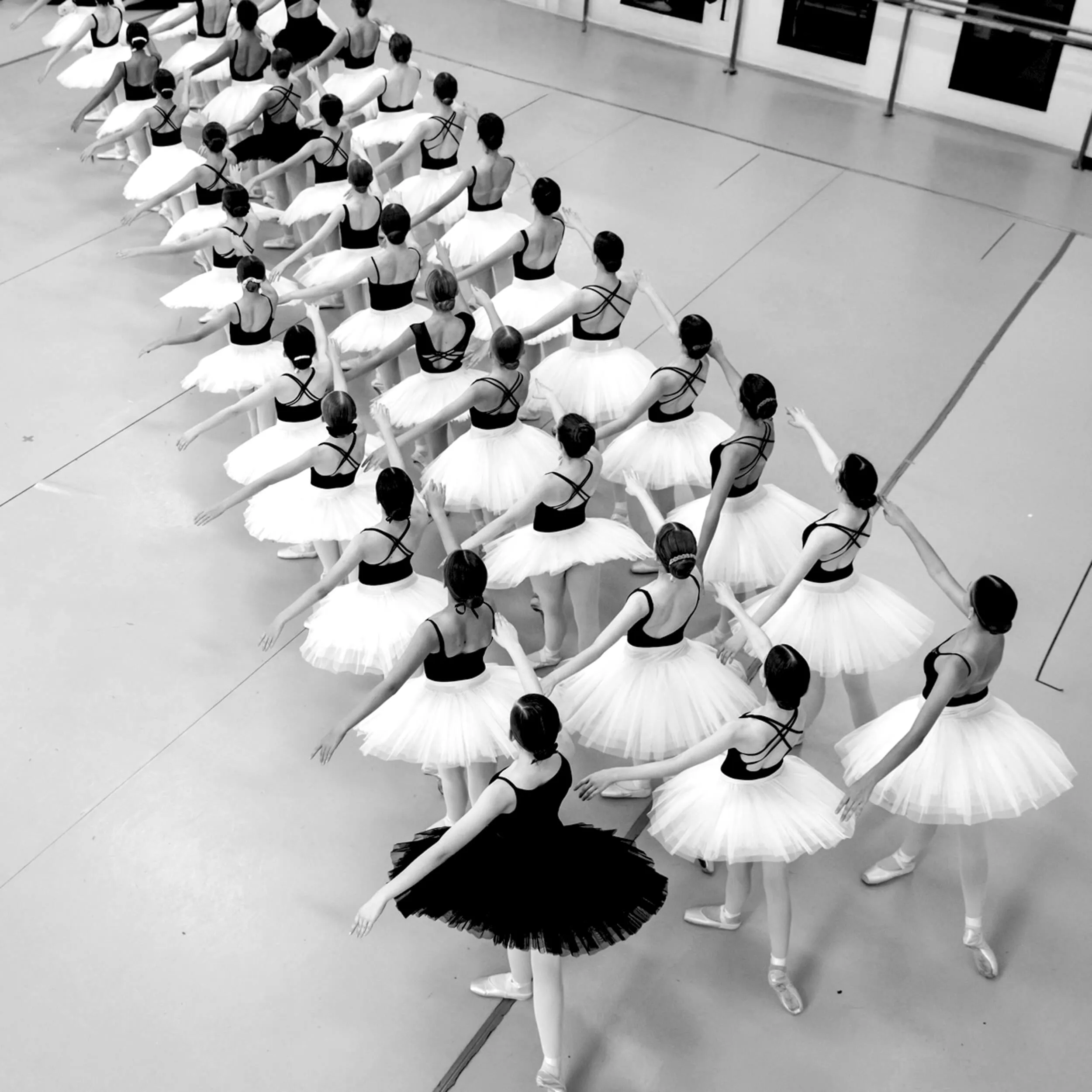 Group of ballet dancers in tutus arranged in a diagonal formation, with one dancer in a black tutu among many in white tutus, practicing in a studio.