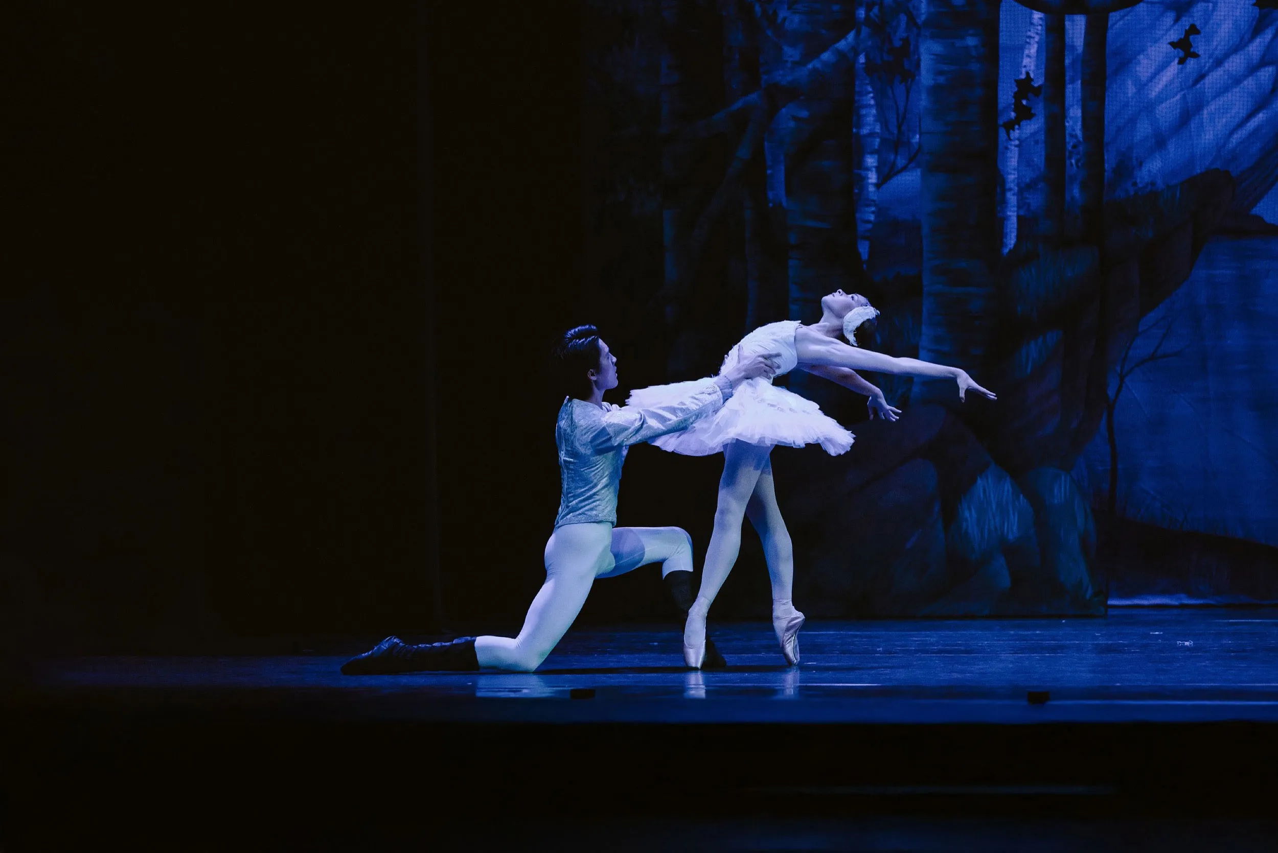 Ballet dancers performing Swan Lake on stage with a dark forest backdrop, the female dancer in white tutu is gracefully extended while supported by the male dancer.