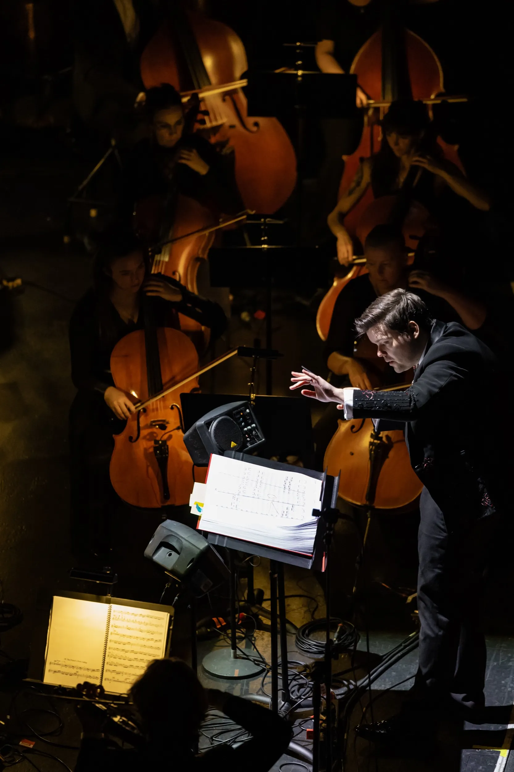 Orchestra conductor passionately leading musicians playing string instruments in a dimly lit concert setting.