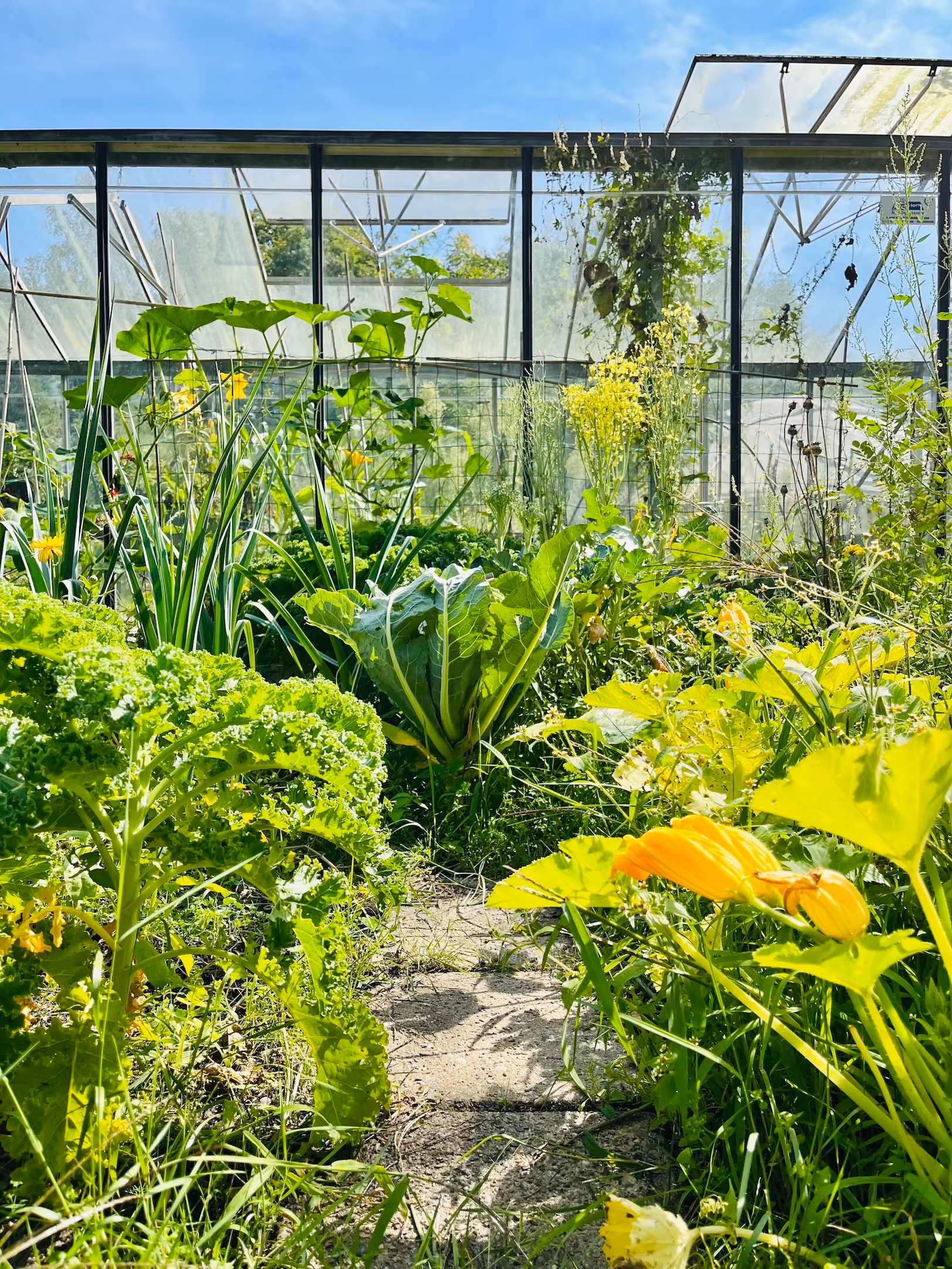 Moestuin van De Groene Afslag