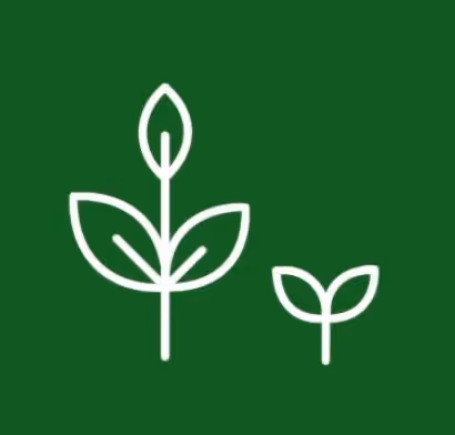Business Netwerk