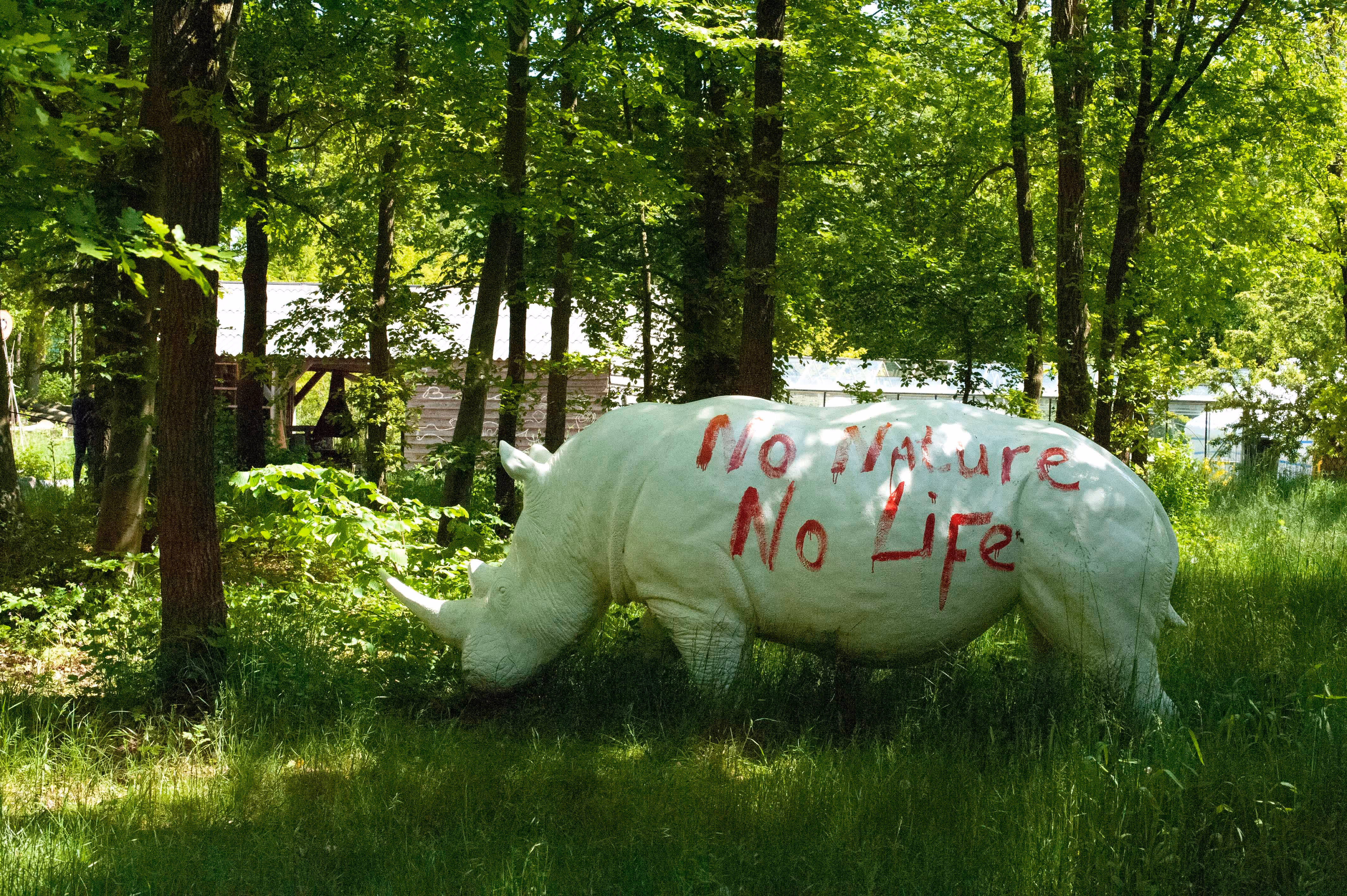 Wit standbeeld van een neushoorn in een groene buitenomgeving met bomen en gras. Op de neushoorn staat in rood geschilderd "no nature, no life".