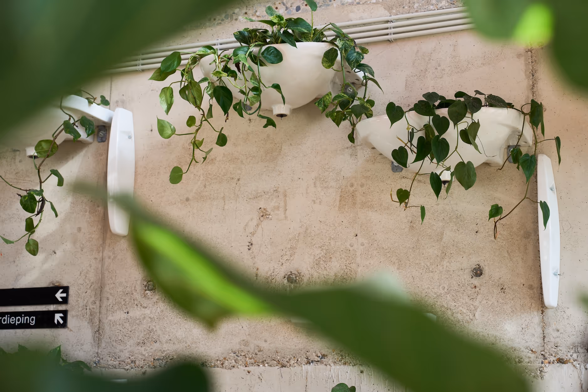 kunstwerk gemaakt van gootstenen die aan de muur hangen en waaruit groene hangplanten groeien.