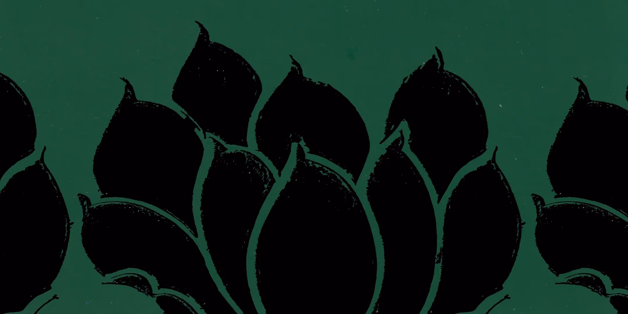 Grafische abstracte tekening van een zwarte bloem op groene achtergrond.