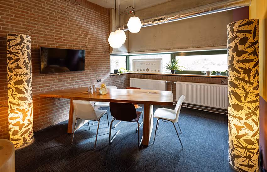 Detail van de nog in aanbouw zijnde Terrarium ruimte bij De Groene Afslag.