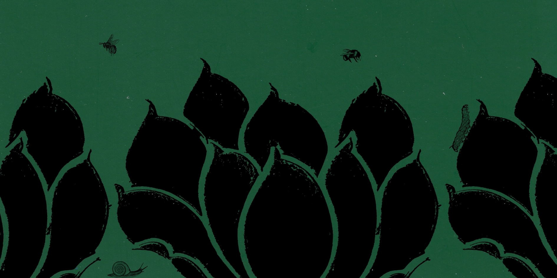 Bladeren van een plant op een donkergroene achtergroen