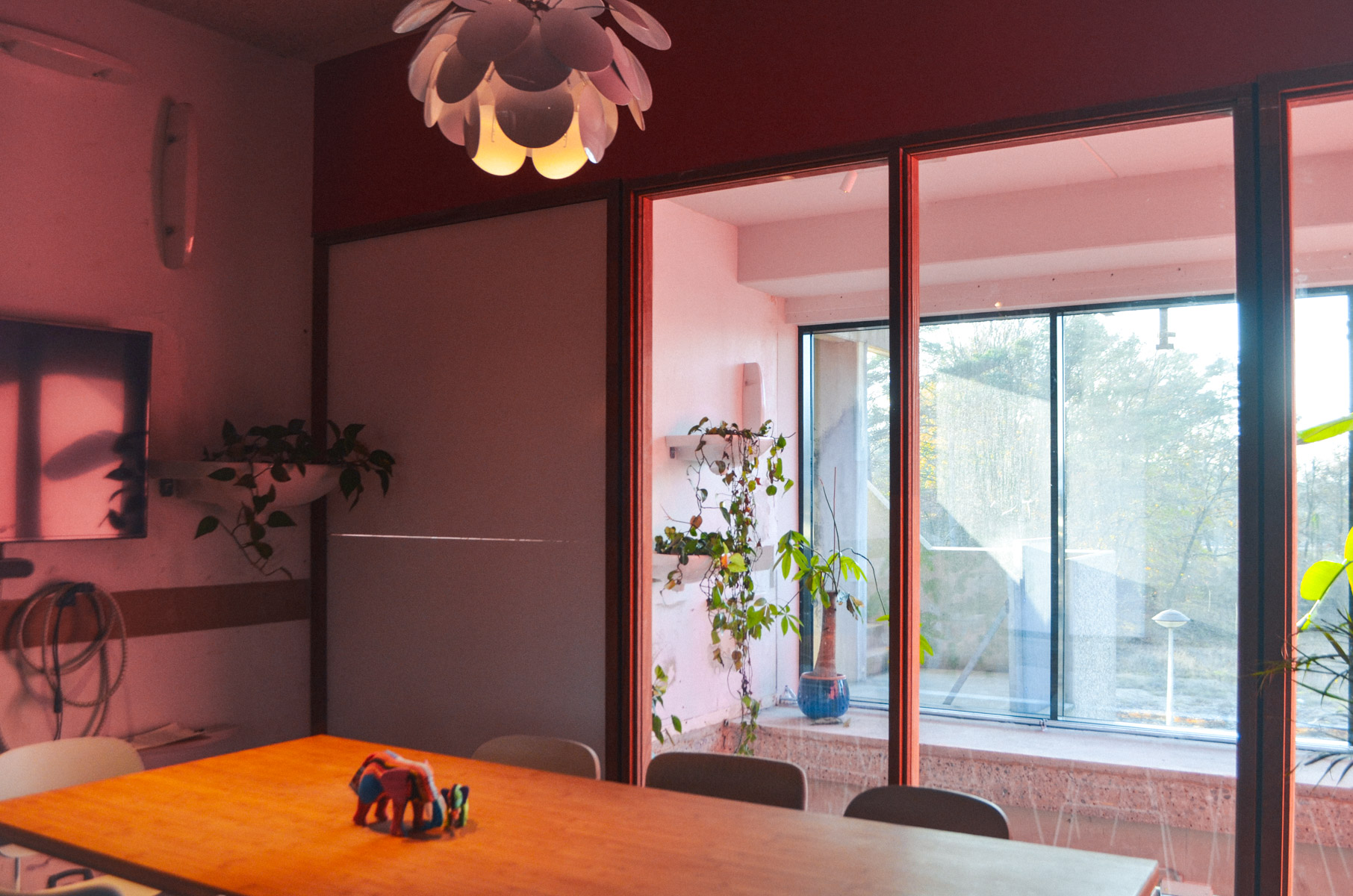 Vergaderruimte De Roze Bril bij De Groene Afslag. Grote houten tafel met lichtgrijze stoelen eromheen in een donkerroze geschilderde ruimte met grote ramen aan weerszijden. 