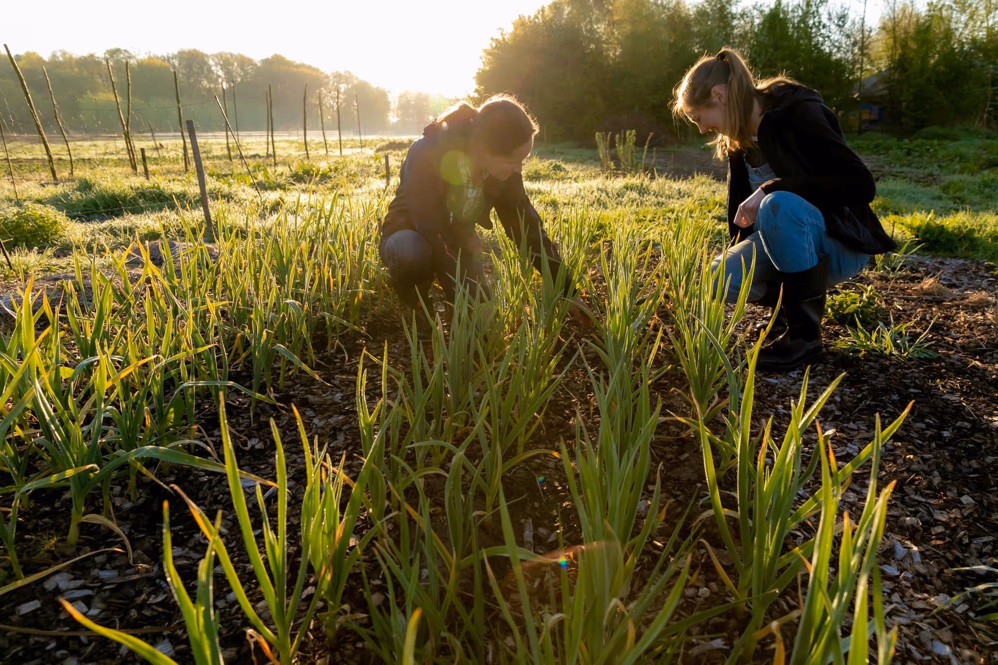 Regeneratieve boerderij met twee vrouwen op het veld