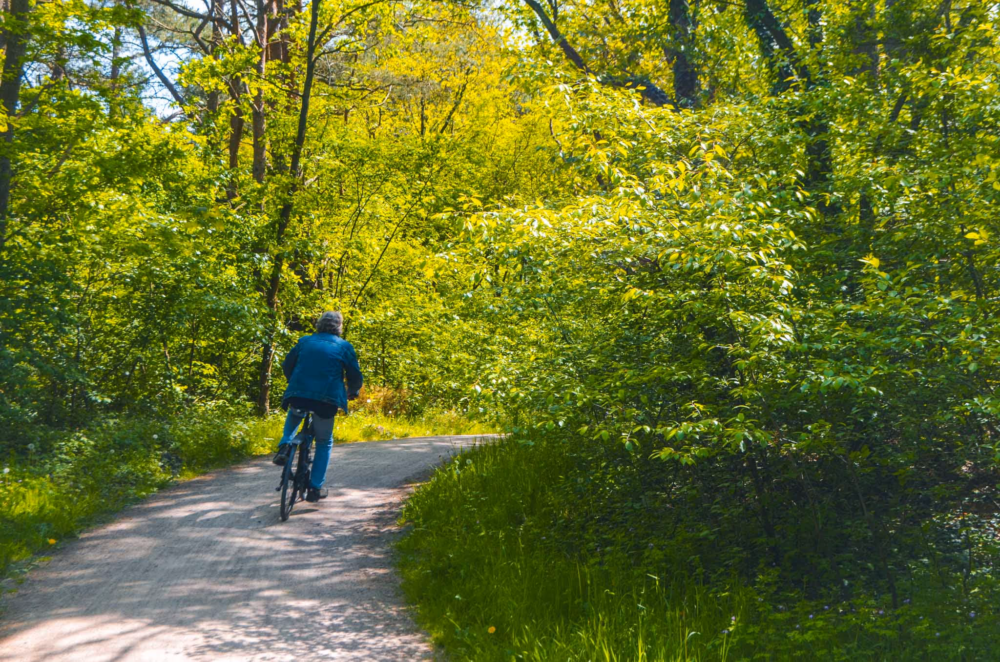  https://www.visitgooivecht.nl/nl/zien-doen/fietsen