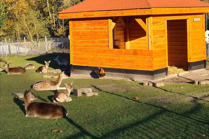 Kinderboerderij de Hertenkamp in Hilversum.