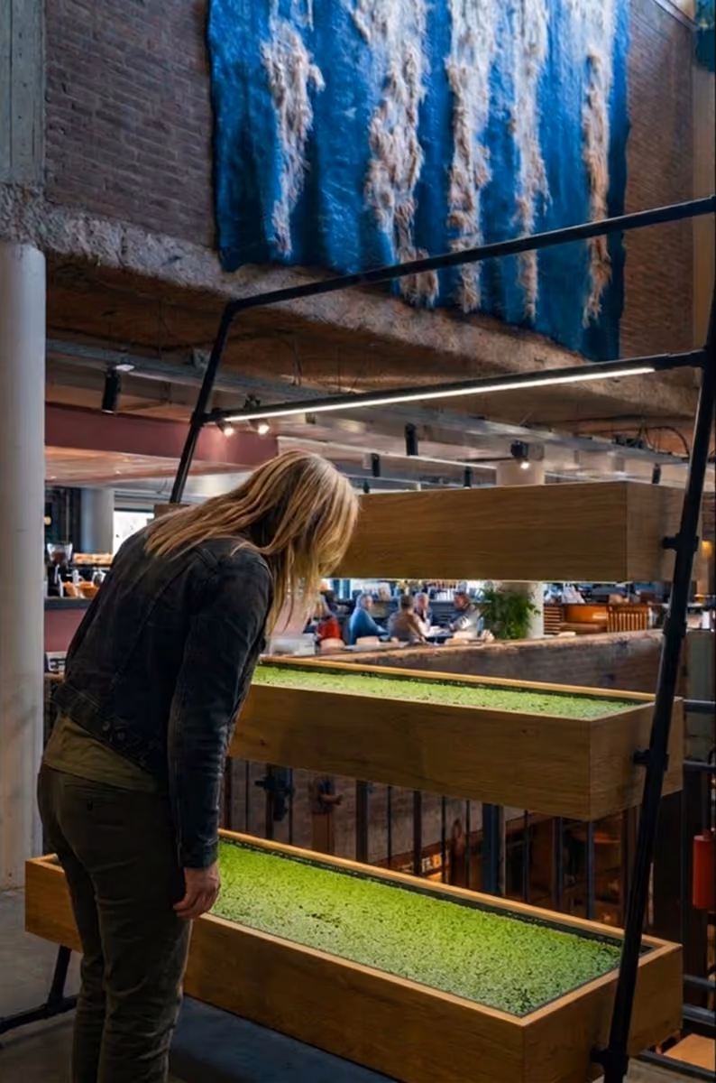 Bord met de tekst Follow the Money in de Geld als Waterzaal