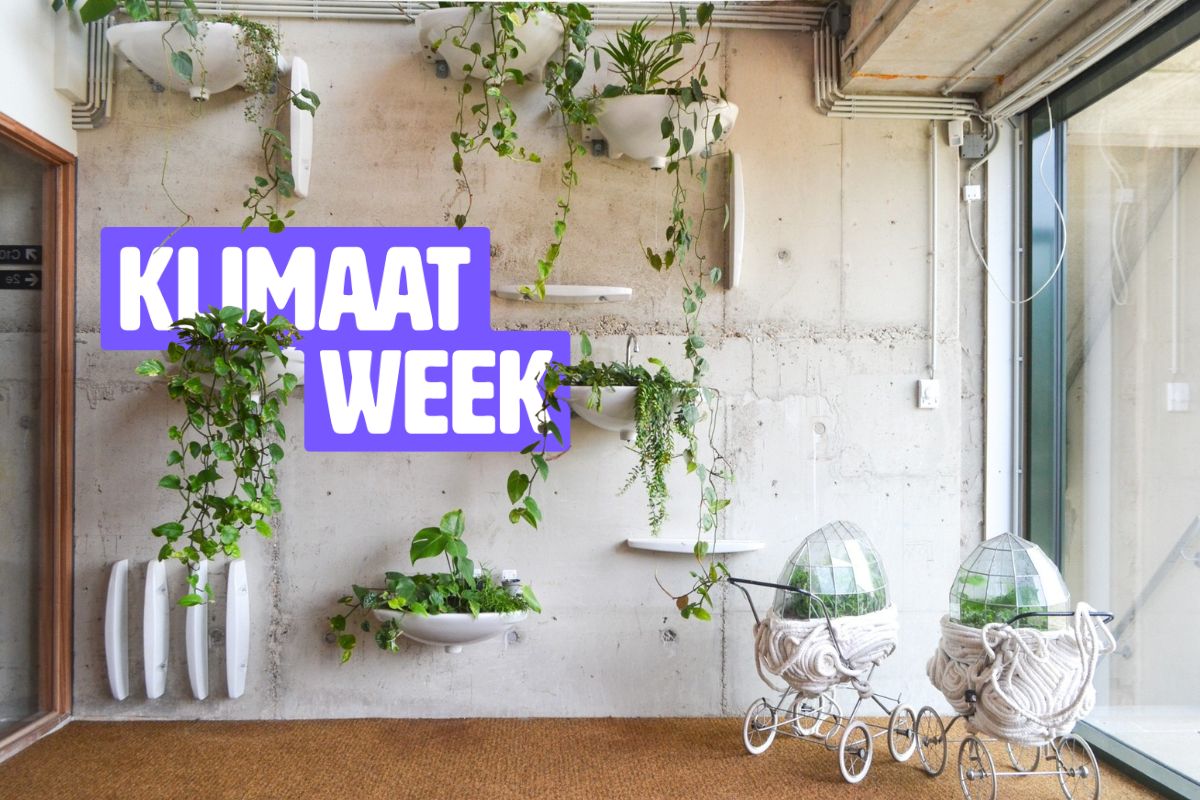 Muur met plantenbakken en daaroverheen het logo van Klimaatweek