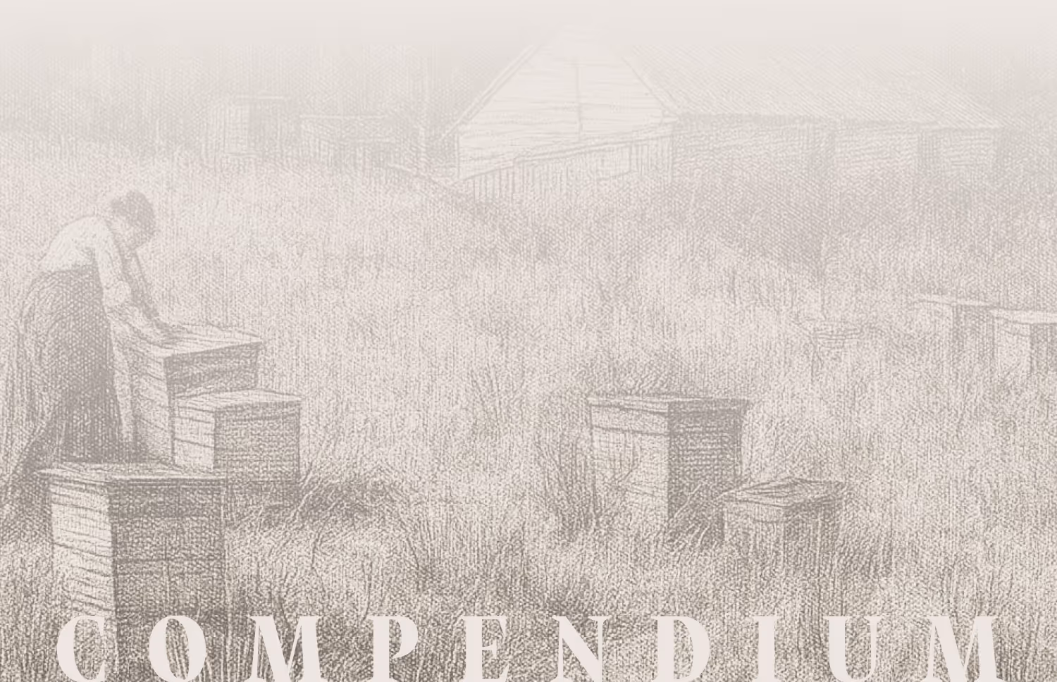 Compendium responsive image