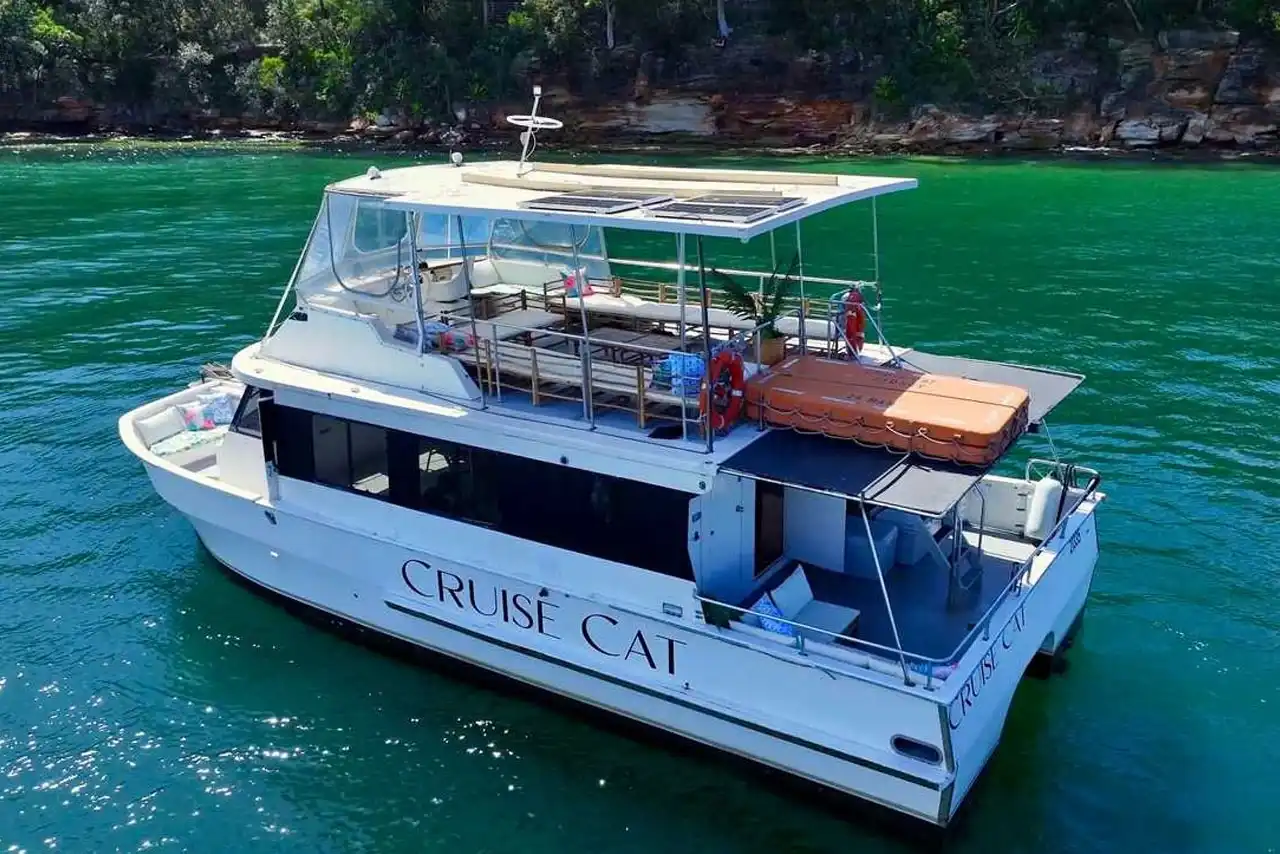 Cruise Cat