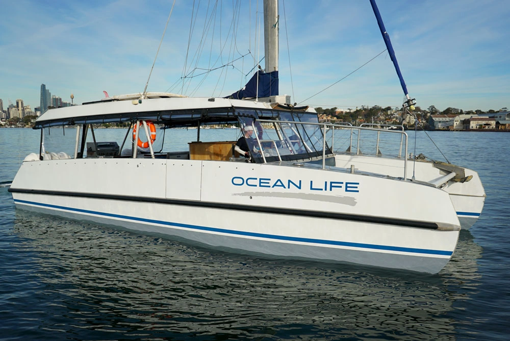 Ocean Life